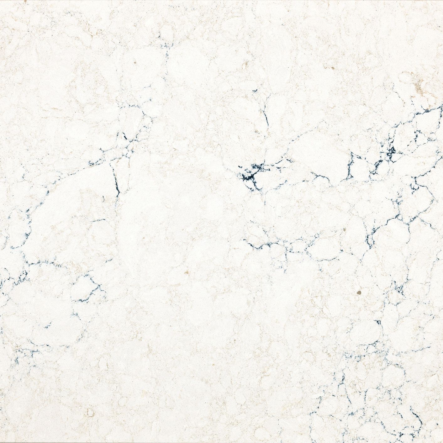 Seacourt_54x54_18.jpg