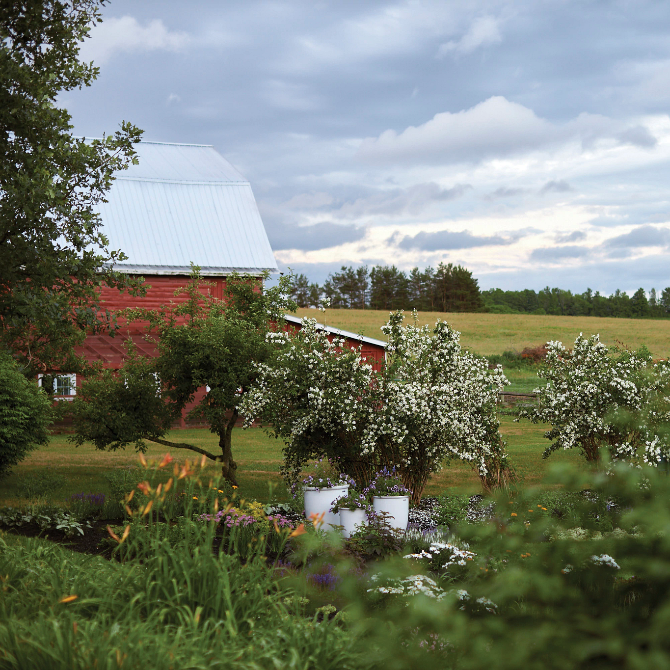 Farm_Summer_2020-221-editCB.png