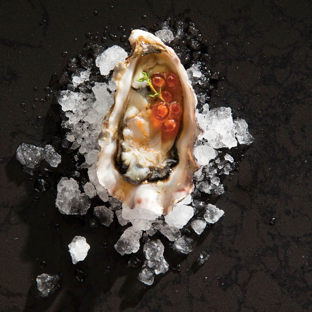 an opened oyster sitting on top of Cambria quartz Black Rock countertop. 