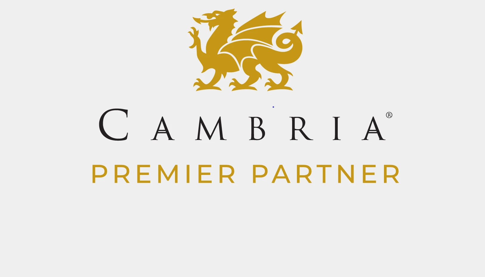 Premier Partner logo